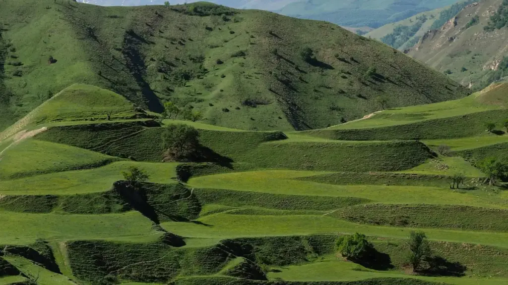 फ्रान्सका ब्र्यान्डहरूलाई LinkedIn मा कसरी पुग्ने र गेम स्ट्रिमिङका लागि स्पोन्सरिंग सम्झौता कसरी बनाउने — नेपालका क्रियेटरहरूका लागि व्यवहारिक गाइड, टुल्स र उदाहरणहरू।