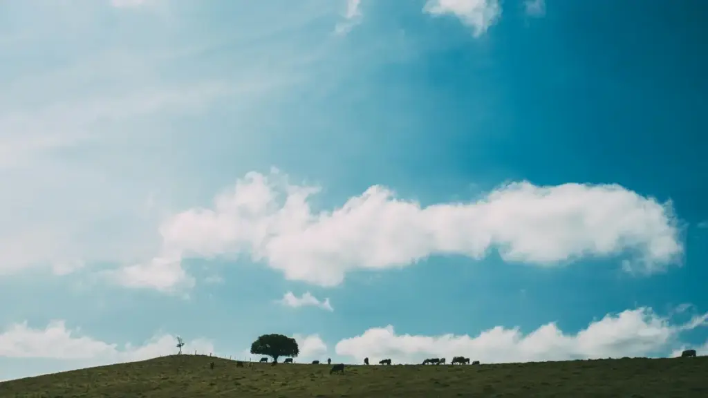 नेपालका क्रिएटरहरूका लागि व्यवहारिक गाइड: WeChat मार्फत फ्रान्सका ब्रान्डसँग पहुँच बढाउने, साझेदारी पिच गर्ने र क्रस‑प्रोमोसनी रणनीति — स्थानीय उदाहरण र टेक साझेदारीको सन्दर्भसहित।