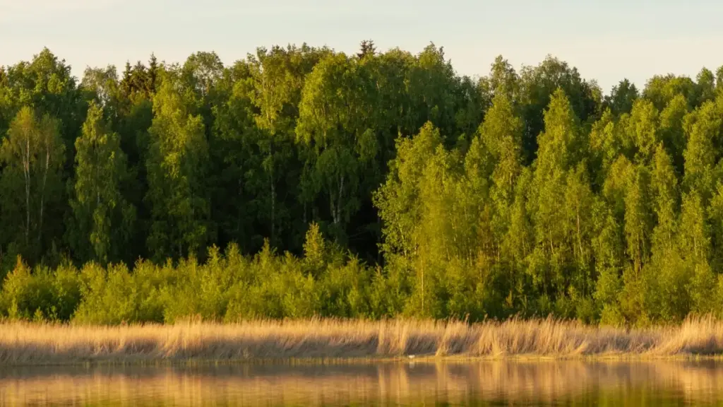 Nepali क्रिएटर्सलाई लक्षित, Apple Music प्रयोग गरेर Greece ब्रान्डसम्म कसरी पुग्ने र फेशन लुकबुक बनाउन सकिन्छ भनी व्यवहारिक रोडम्याप।