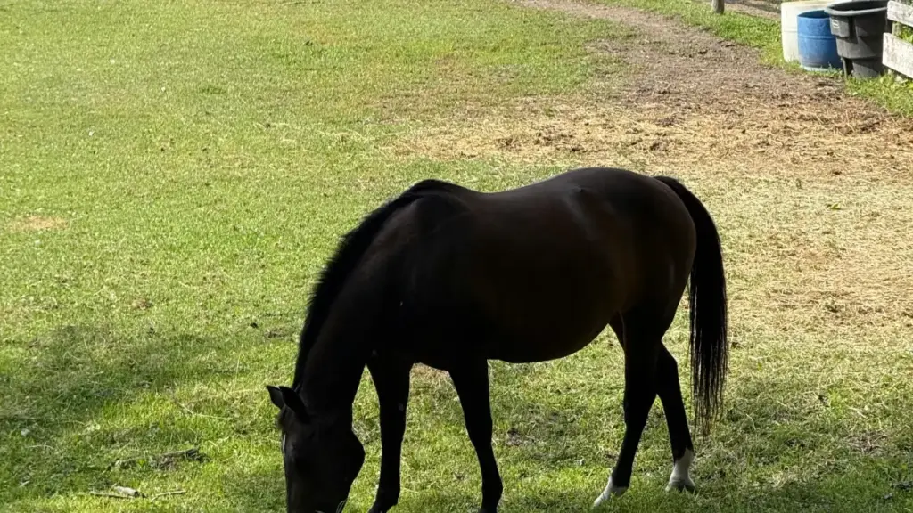 नेपालका क्रिएटर र गेम पब्लिशरहरूलाई लक्षित, Threads मा दक्षिण कोरियाली ब्रान्डसँग पार्टनरसिप कसरी बनाउने भनी व्यवहारिक मार्गदर्शन। स्रोत: The Korea Economic Daily, SAMG, Kakao।