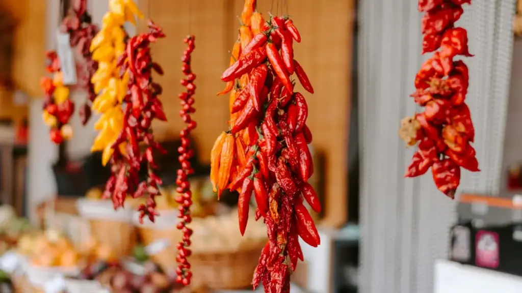 नेपालका क्रिएटरहरूसँग UAE ब्रान्डहरूसँग साझेदारी गर्ने व्यावहारिक कदमहरू — YouTubeस्पेसमा कसरी पहुँच गरिन्छ, के प्रस्ताव पठाउने, र स्थानीय-सांस्कृतिक ट्रिक्स।