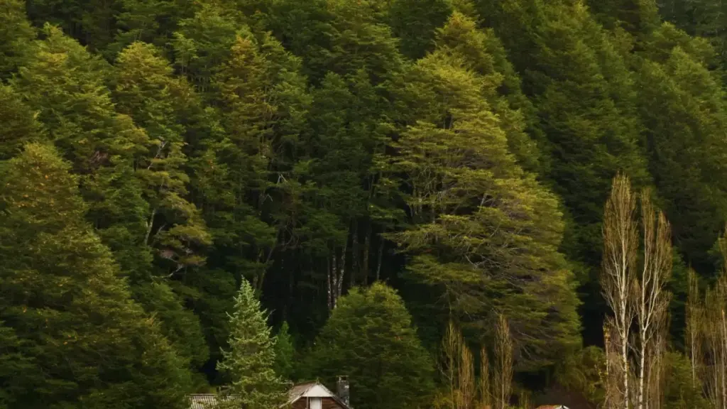 नेपालका विज्ञापनकर्ताहरूका लागि अल्जेरियाका Threads क्रिएटर भेट्ने व्यावहारिक मार्गदर्शन, ट्रेन्ड, जोखिम र साझेदारीका स्मार्ट तरिका।