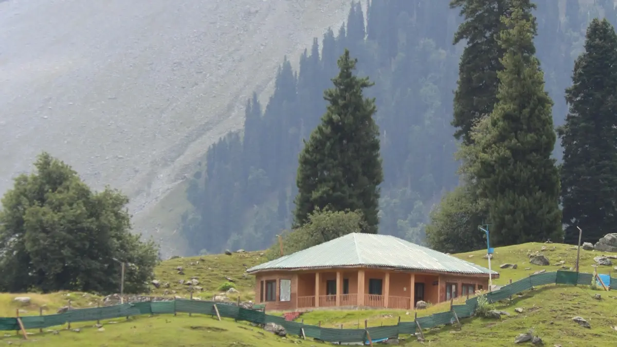 आइभरी कोस्ट Douyin क्रिएटर कसरी फेला पार्ने: वायरल अनबक्सिंगका लागि मार्गदर्शक
