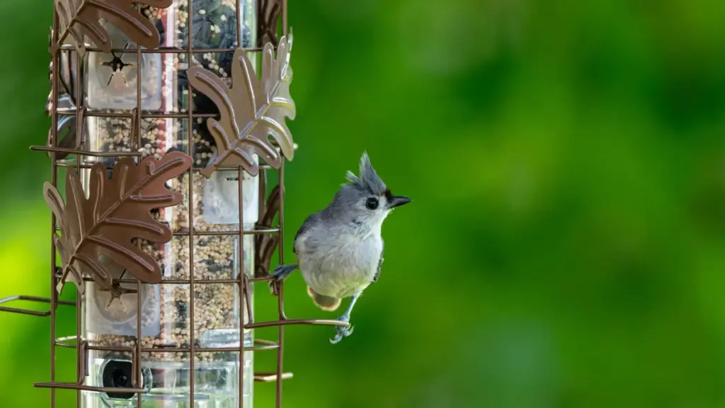 नेपालका विज्ञापनदाताहरूका लागि थाइल्याण्डका Reddit क्रिएटर भेट्ने व्यावहारिक गाइड — पहुँच, जोखिम, कर सतर्कता र प्रायोजन रणनीति सहित।