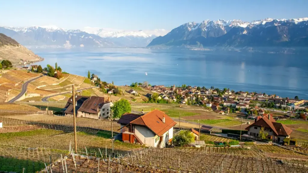 नेपालका ब्रान्डहरूका लागि प्रायोगात्मक, स्ट्रीट-स्मार्ट गाइड — थाइल्यान्डका WhatsApp क्रिएटर खोजेर ट्राभल गियरको UGC कसरी उठाउने, पार्टनरिशिप मोडल र रिस्क म्यानेजमेन्ट।