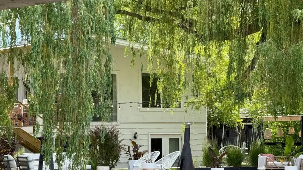 नेपालबाट US LinkedIn क्रिएटर भेट्ने व्यावहारिक प्लान: खोज, भेरिफाइ, पहुँच र सिजनल फ्याशन ट्रेन्ड प्रदर्शनका लागि कदम-दर्शक।