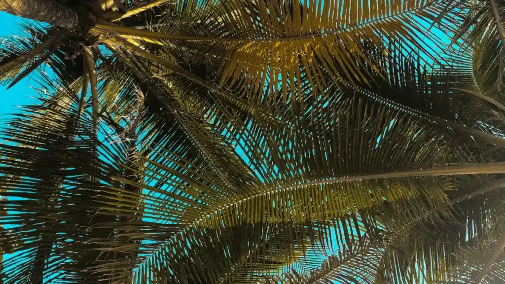 नेपालका अनलाइन व्यापारीलाई लक्षित: लाट्भियाली Zalo क्रिएटर खोज्ने व्यवहारिक मार्ग, जोखिम र कन्ट्याक्ट तरिका — बिक्री बढाउन सटीक रणनीति।