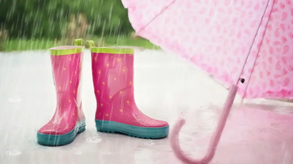 लक्जेम्बर्गका VKontakte क्रिएटर खोज्ने व्यावहारिक गाइड — कहाँ खोज्ने, कसरी स्क्रिन गर्ने, र अनलाइन स्टोरका लागि बिक्री कसरी बढाउने; नेपालका विज्ञापनकर्ताका लागि स्थानीय टिप्स सहित।