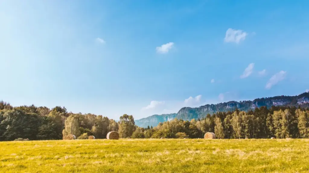 माल्टा भित्रका Snapchat क्रिएटर्स भेट्ने, आडियन्स एङेजमेन्ट नाप्ने र लिड कनभर्ट गर्ने व्यावहारिक गाइड — नेपालबाट काम गर्ने विज्ञापनदारका लागि प्रयोगशिल सुझाव।