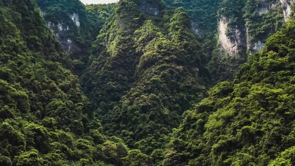 Douyin मार्फत Egypt ब्रान्डहरूसँग limited-time discount कोड शेयर गर्न चाहने नेपाली क्रिएटरहरूको लागि व्यवहारिक, स्टेप-बाइ-स्टेप गाइड — संचार रणनीति, ट्रेन्ड इनसाइट, र जोखिम ह्यान्डलिङ सहित।