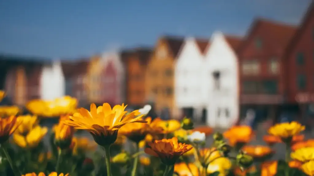 नेपालका क्रिएटरहरूका लागि व्यवहारिक गाइड: Josh मा पाकिस्तान ब्रान्डहरूसँग अनबक्सिङ र टेस्टिमोनियल क्लिप कसरी सुरक्षित तरिकाले र प्रभावकारी रुपमा रेकर्ड गर्ने र ब्रान्डसम्म पुग्ने।