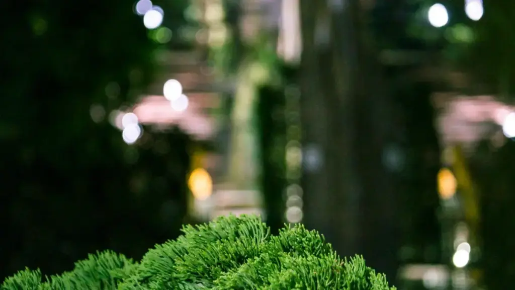 नेपालका क्रिएटरहरूका लागि व्यवहारिक रोडम्याप: Bilibili मा इथियोपियाली ब्रान्डहरूलाई गेम फीचर रिभ्यु गर्न कसरी सम्पर्क गर्ने, स्थानीय प्लेटफर्म कन्टेक्स्ट र व्यवहारिक स्क्रिप्टहरूसहित।