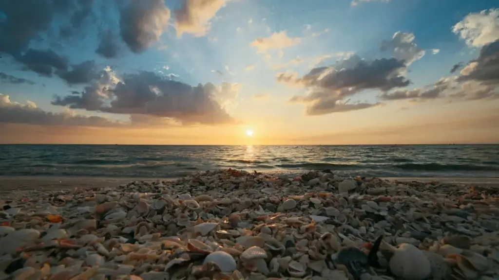 ब्राजिल ब्रान्डहरूसँग Moj मा सम्बन्ध बनाउन र स्पोन्सर भरोसा जमाउन व्यावहारिक रणनीति र स्थानीय इनसाइटहरू।