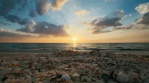 ब्राजिल ब्रान्डहरूसँग Moj मा सम्बन्ध बनाउन र स्पोन्सर भरोसा जमाउन व्यावहारिक रणनीति र स्थानीय इनसाइटहरू।