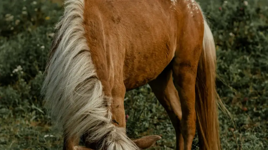 नेपालका विज्ञापनकर्ताका लागि कदम–दर–कदम गाइड: यूक्रेनका Hulu क्रिएटर भेट्ने तरिका, जोखिम र अभियान सञ्चालन गर्ने व्यवहारिक रणनीति।