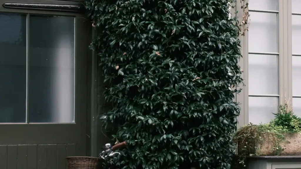 बेल्जियममा स्थानीय टूर प्रमोशनका लागि उपयुक्त TikTok क्रिएटर कसरी खोज्ने, छान्ने र सम्झौता गर्ने व्यावहारिक ह्याण्डबुक — नेपालबाट अभियान चलाउन मिल्ने कदमहरू र स्थानीय ट्रेन्ड इनसाइटसहित।