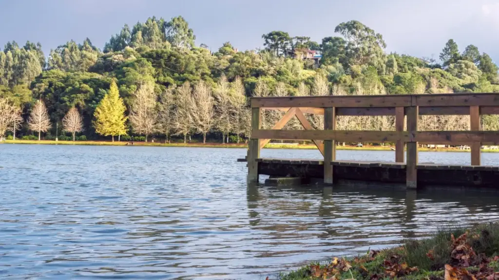 साउदी अरबमा Snapchat क्रिएटर्स खोजेर बजार माग टेस्ट गर्न चाहनुहुन्छ? स्थानीय ट्रेन्ड, प्ल्याटफर्म व्यवहार र प्रभावकारी तरिकाहरू समेटिएका व्यवहारिक गाइड।