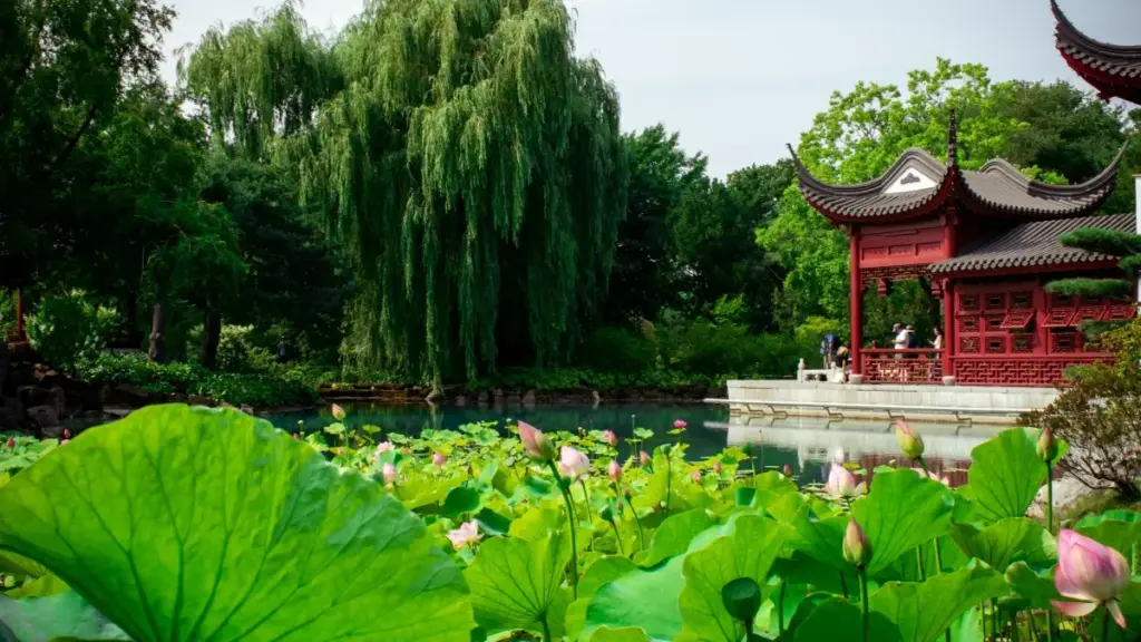 नेपालको क्रिएटरका लागि व्यावहारिक रोडम्याप — Finland ब्रान्डलाई Lazada मार्फत कसरी भेट्ने, भरोसा जगाउने र टप ब्रान्डसँग काम सुरु गर्ने।