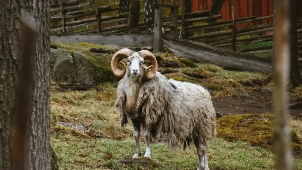 नेपाली क्रिएटरहरूका लागि Shopee मा उत्तर मेसिडोनिया ब्रान्डसम्म पुगेर ब्राण्ड सहकार्य बढाउने व्यवहारिक गाइड।