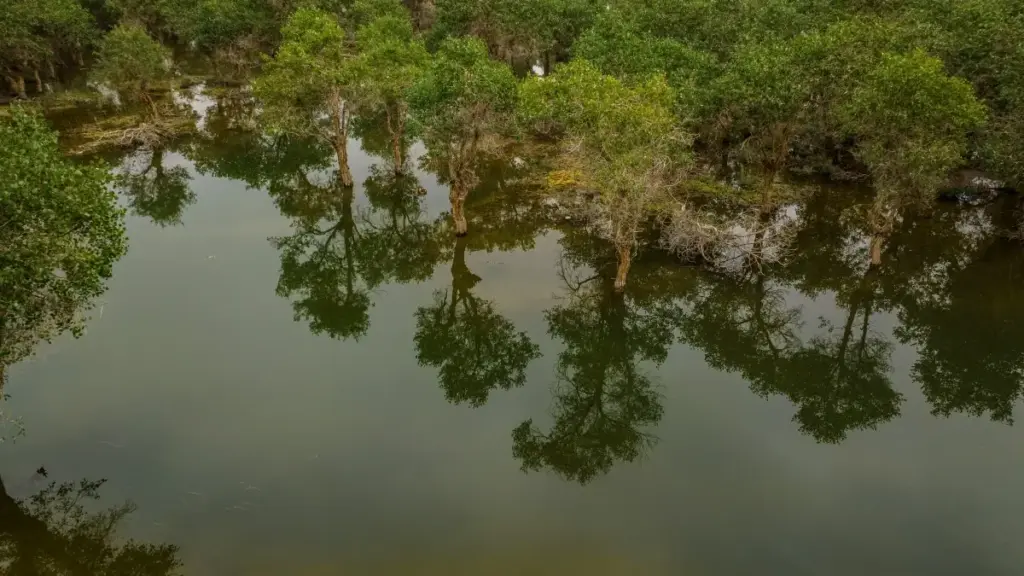 भियतनामका सही LinkedIn creator भेटेर ब्रान्ड visibility बढाउने practical तरिका, प्लेटफर्म mix, trust-building र 2026 का trend सहित।